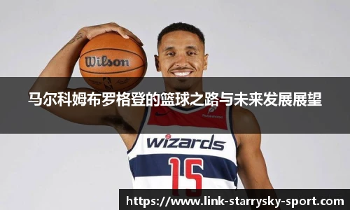 星空体育官网下载