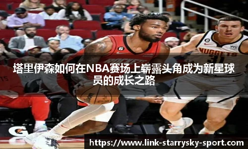 星空体育官网入口